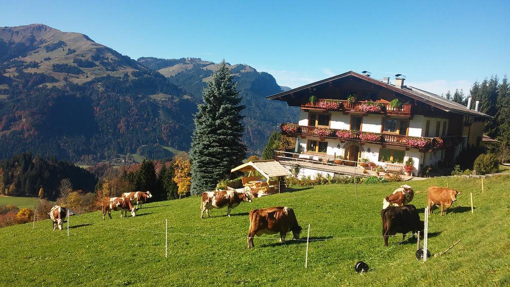 Hof Hamoos Apartment Kitzbuhel Exterior photo